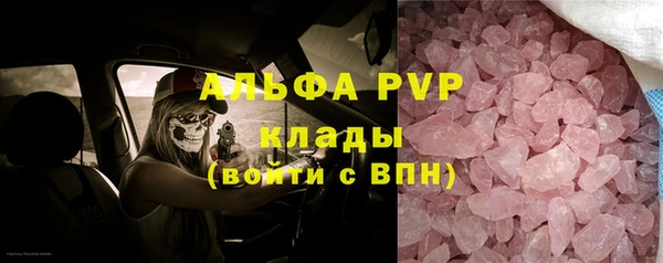 PSILOCYBIN Баксан