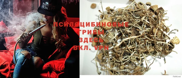 PSILOCYBIN Баксан