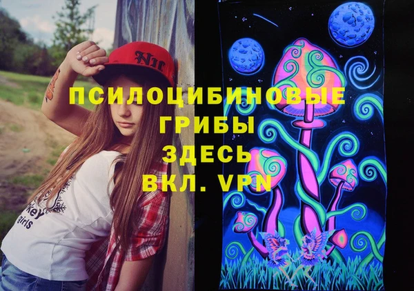 PSILOCYBIN Баксан