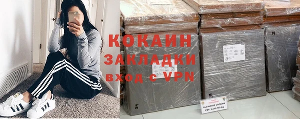 PSILOCYBIN Баксан