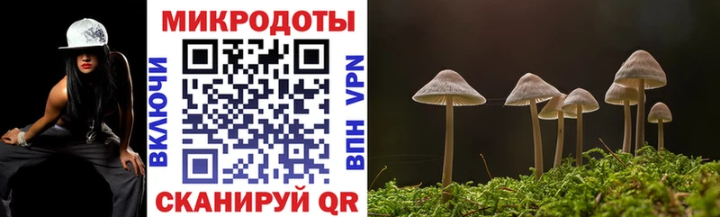 Псилоцибиновые грибы MAGIC MUSHROOMS  Купить  Далматово 